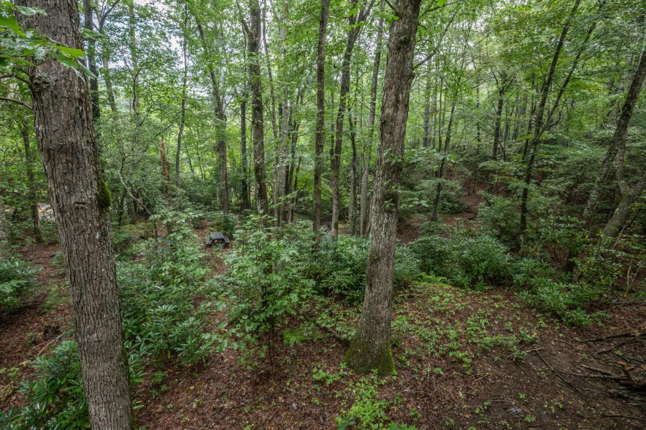 Вилла Springmaid Mountain Spruce Pine Экстерьер фото