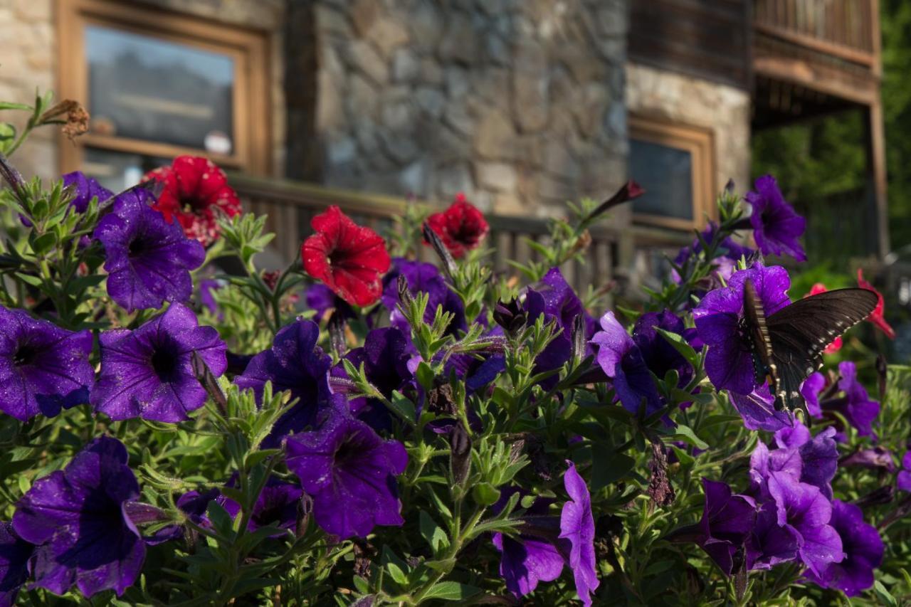 Вилла Springmaid Mountain Spruce Pine Экстерьер фото